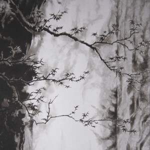 0007 Waterfall / Keiji Yamazaki 003