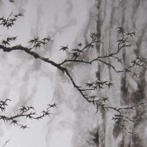 0007 Waterfall / Keiji Yamazaki 004