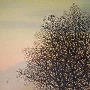 0027 Tranquility / Susumu Kawahara 005