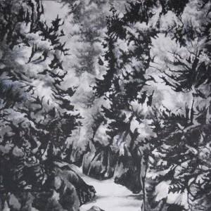 0039 The Hatonosu Valley / Keiji Yamazaki 004