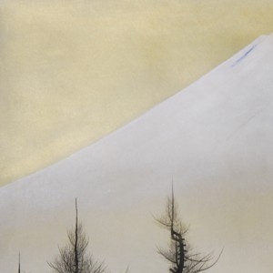 0040 Mt. Fuji / Shoukou Azuma 005