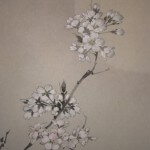 0071 Cherry Blossoms at a Spring Night / Keiji Yamazaki 004