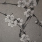 0074 Plum Blossoms and Small Bird / Keiji Yamazaki 004