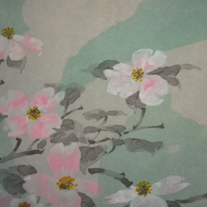 0075 Dogwoods / Keiji Yamazaki 005