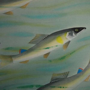 0078 Sweetfish Ayu / Taikyou Ooya 005