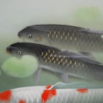 0079 Koi Fish (Carp): Water Lilies / Shukou Okamoto 003