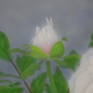 0081 Peonies / Katō Tomo 005