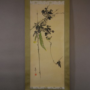 0086 Dishcloth Gourd / Katsunobu Kawahito 002