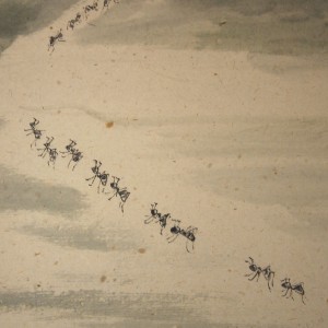 0159 Ants Painting & Calligraphy / Katsunobu Kawahito & Kakushou Kametani 006