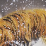 0153 Tiger in Snow Painting / Gyokuhou Horie 005