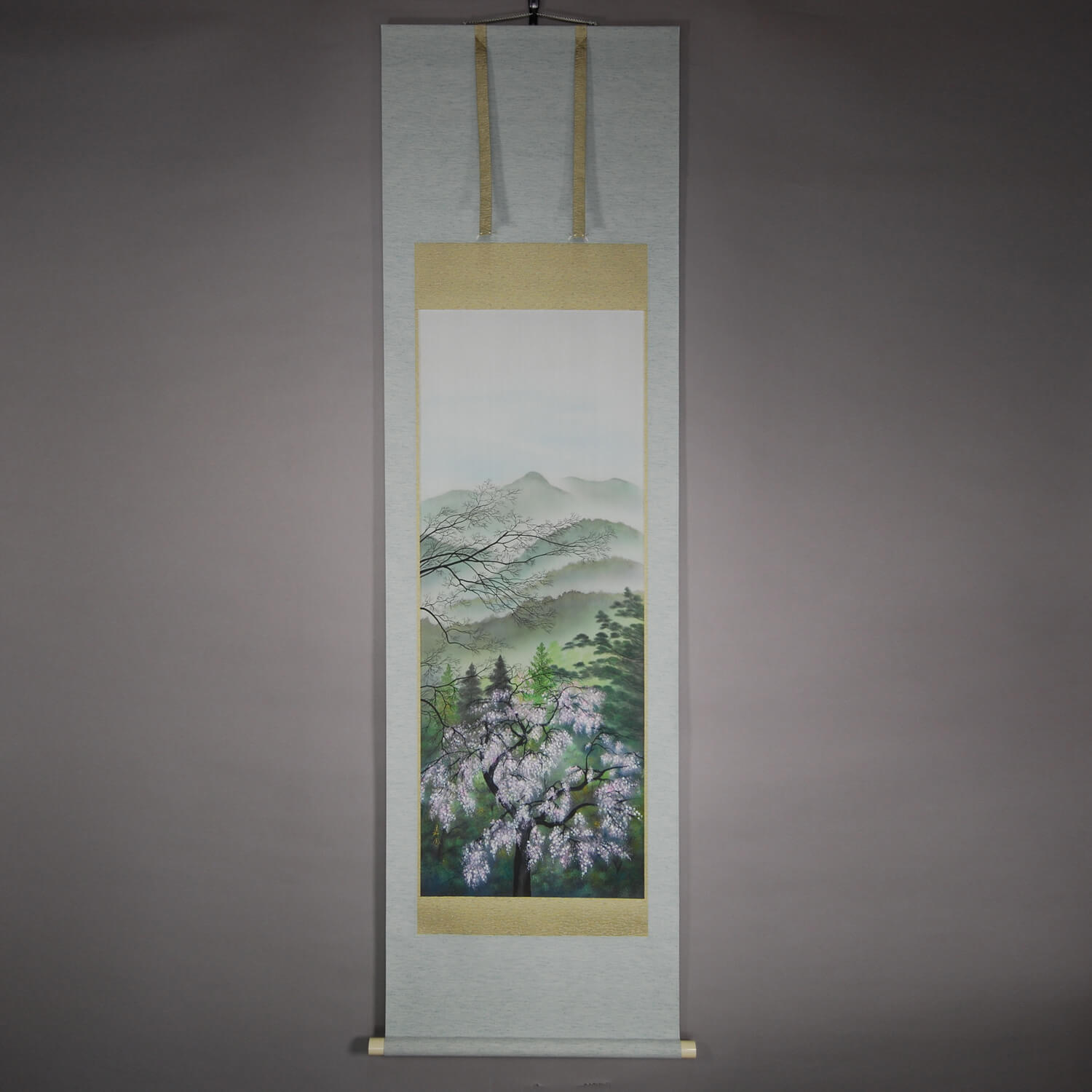 Kakejiku Hanging Scroll: Cherry Blossoms / Sakakibara Kahō