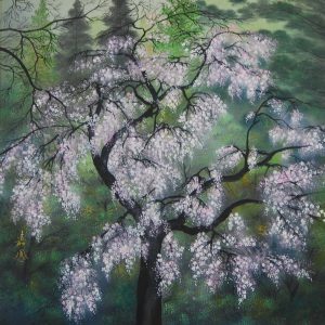 Kahou Sakakibara Cherry Blossom
