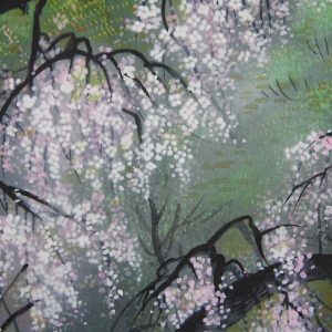 Kahou Sakakibara Cherry Blossom