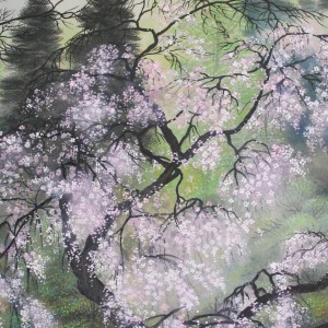 b0005 Cherry Blossoms / Kahou Sakakibara 005