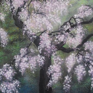 b0005 Cherry Blossoms / Kahou Sakakibara 006