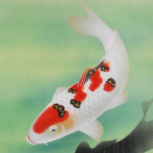 b0007 Koi fish Carp / Housetsu Mizukawa 005