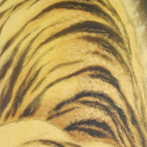 b0019 Tiger / Ryokuju Kai 005