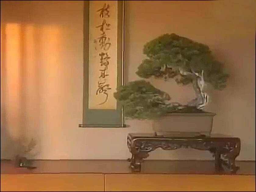 bonsai kakejiku