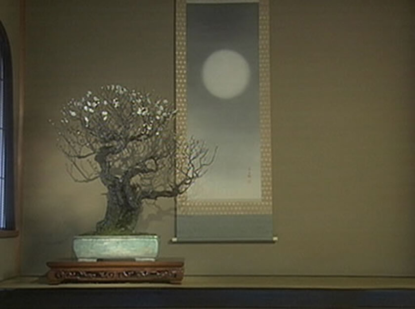 bonsai kakejiku