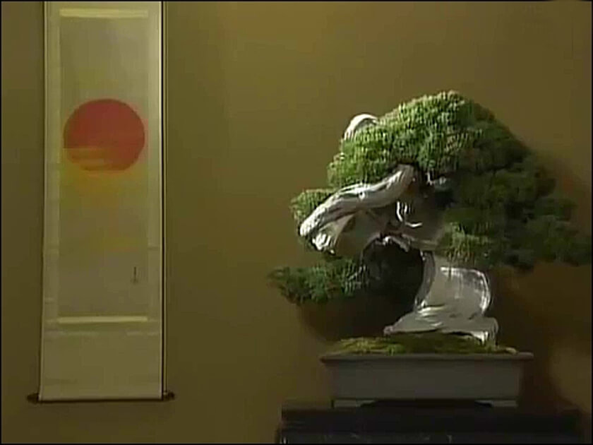 bonsai kakejiku