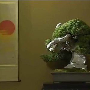 bonsai kakejiku