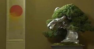 bonsai kakejiku