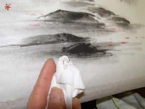 tokonoma bonsai kakejiku