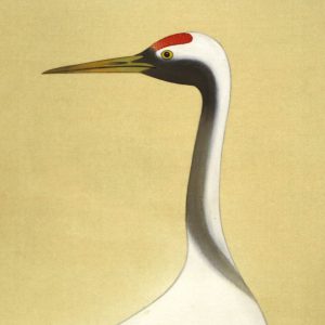 Wakou Miyake Crane Painting Kakejiku Scroll