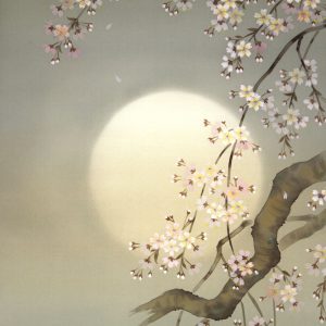 Wakou Miyake Cherry Blossoms kakejiku painting scroll