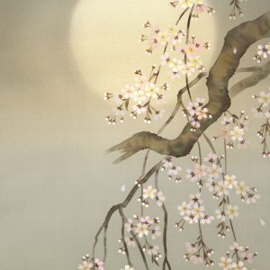 Wakou Miyake Cherry Blossoms kakejiku painting scroll