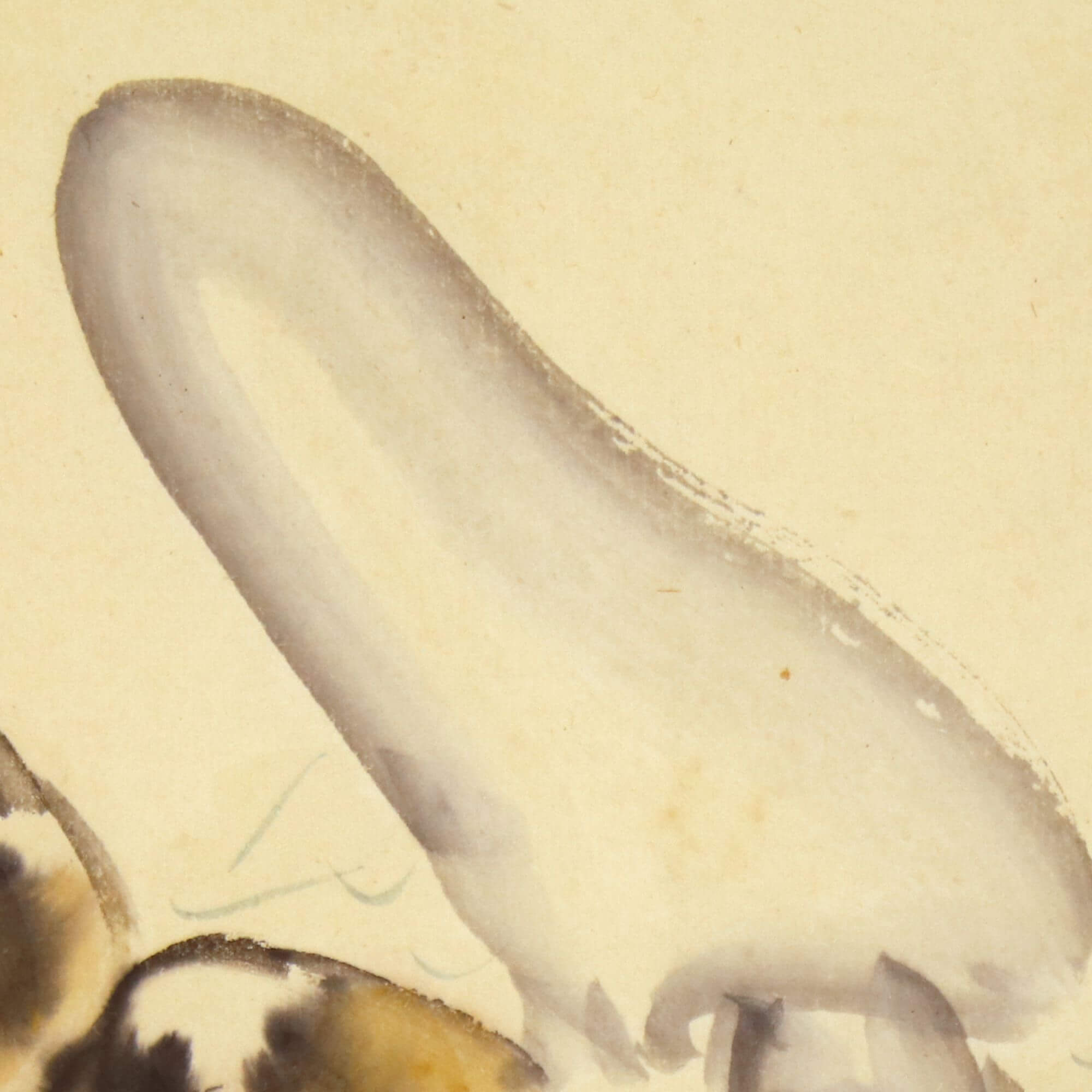 Squid And Clam Getsujo Mori 森月城 Kakejiku Scroll