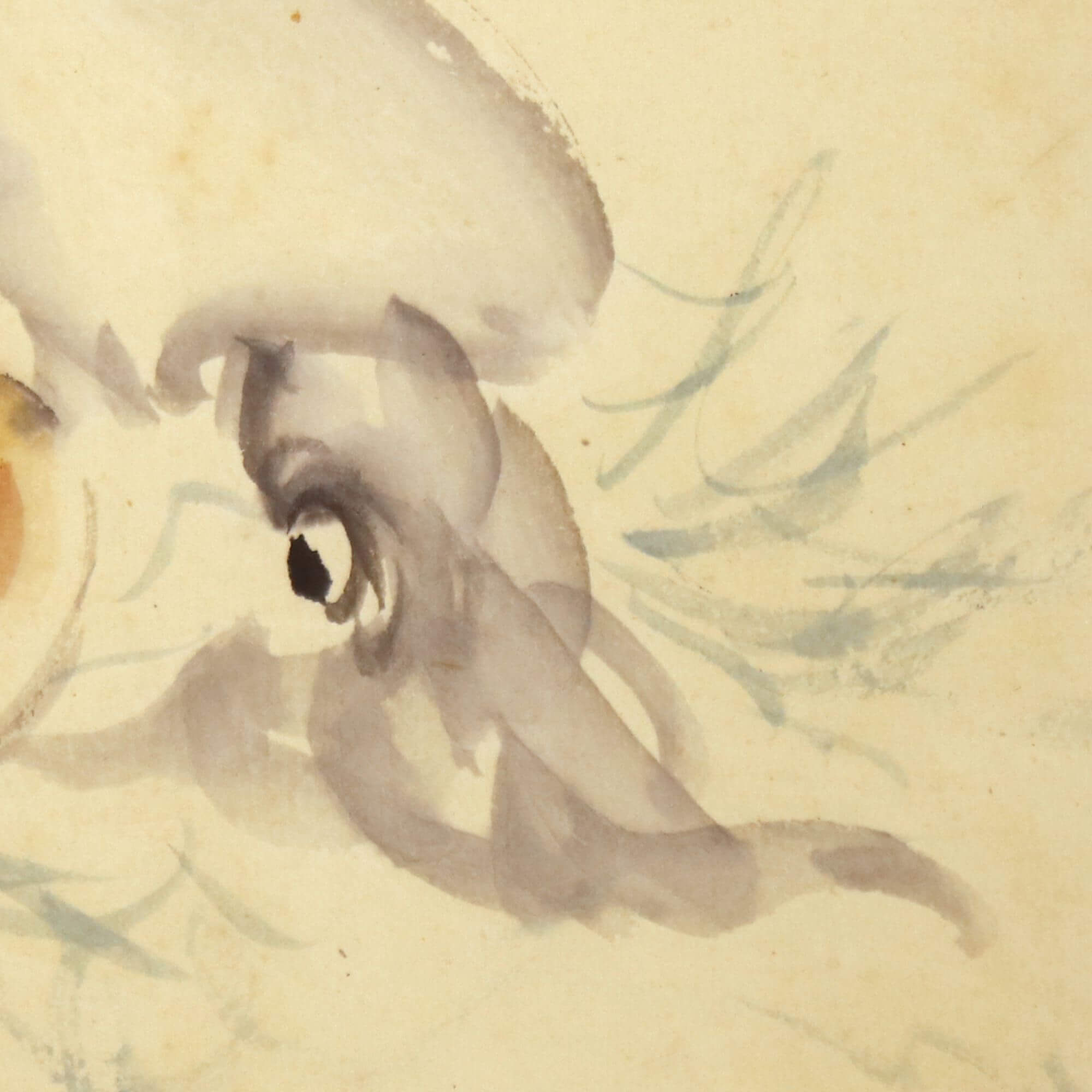 Squid And Clam Getsujo Mori 森月城 Kakejiku Scroll