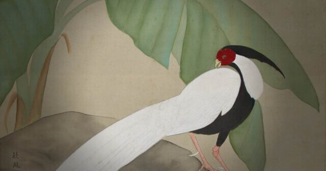 Stain Removal Kakejiku Scroll Silk Canvas Australia